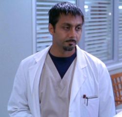 Anjul Nigam dans Gray's Anatomy