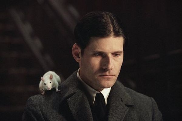 Crispin Glover dans Willard