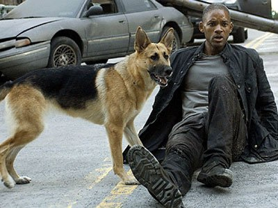 Will Smith et son chien dans Je suis une légende, de Francis Lawrence